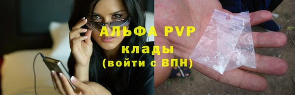 крисы Приозерск
