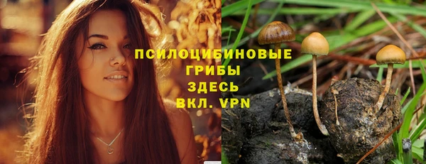 гашик Покровск
