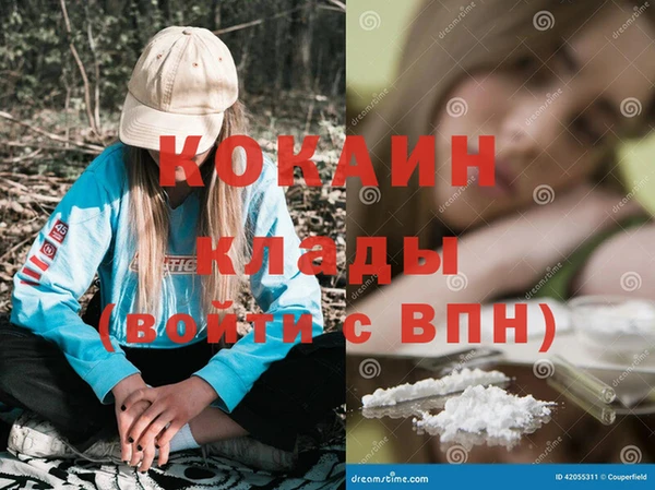 гашик Покровск